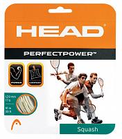 Head PerfectPower 17