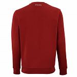 Tecnifibre Team Sweater Cardinal