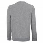 Tecnifibre Team Sweater Silver