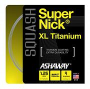 Ashaway SuperNick XL Titanium - box