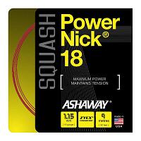 Ashaway PowerNick 18 1.15mm - box