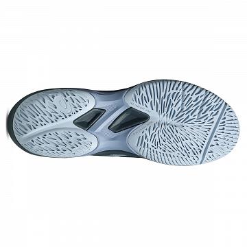 ASICS Court Hunter FF Raw Indigo / Solid Air