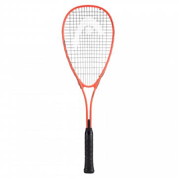 Head Vibe Edge 2026