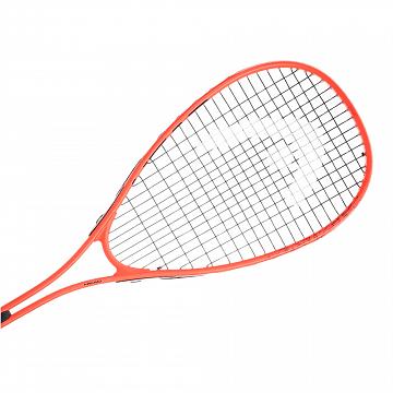 Head Vibe Edge 2026