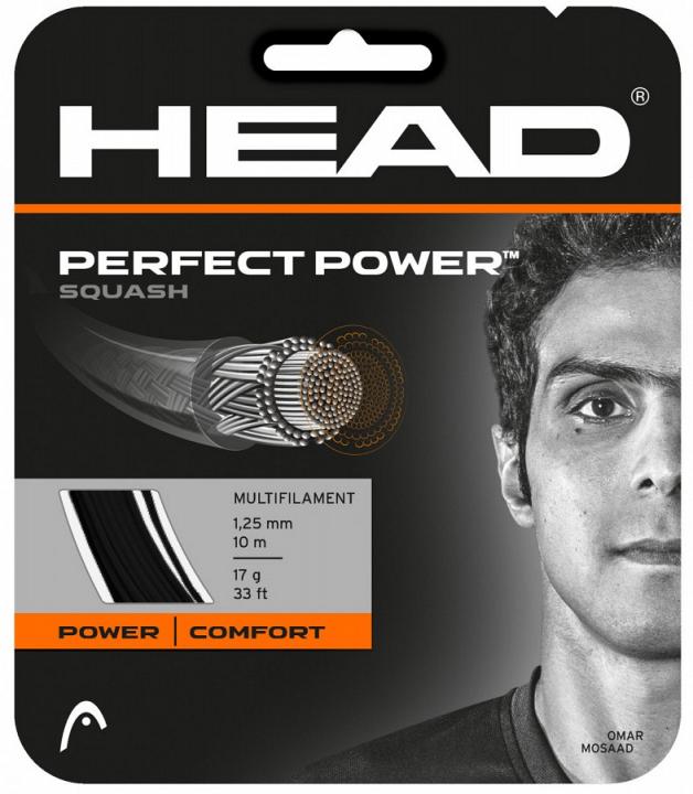 Head Perfect Power Squash Black