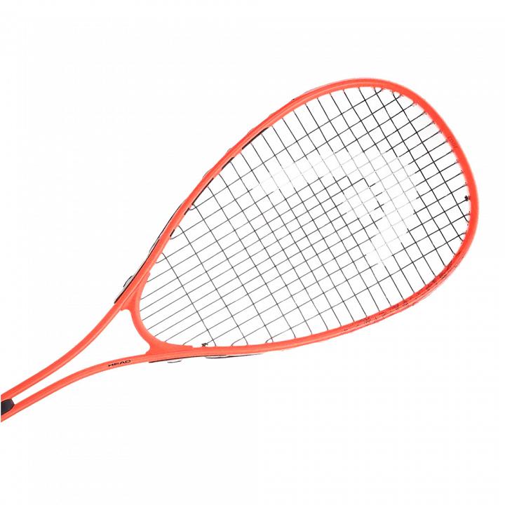 Head Vibe Edge 2026