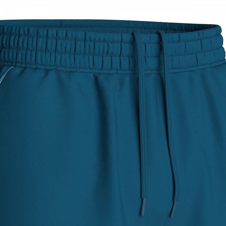 Pallap Men's Shorts Petrol Blue / Cyan Blue